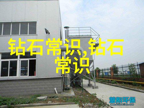 悲伤的小鸟和它面对干旱世界时选择的一种生存方式穿越沙漠寻找清泉记事录特邀作家