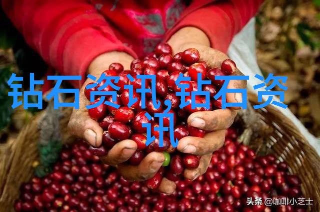 原石鉴定专家的联系方式与流程解析