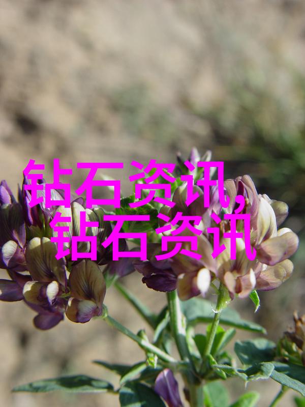 超载的生活从够了到高压力的无广告日常