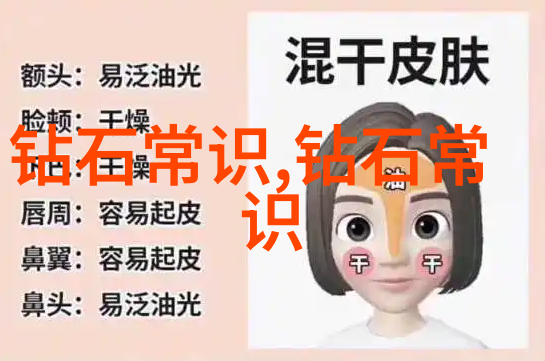 全球高等教育界的盛事揭秘学术殿堂的竞技场