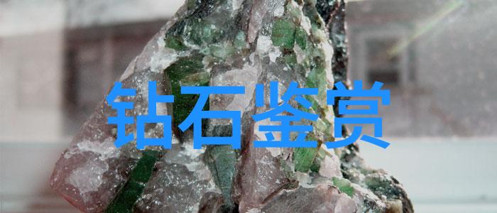我被猪鞭螺旋状进入的揭秘这次奇怪旅行中的惊险经历
