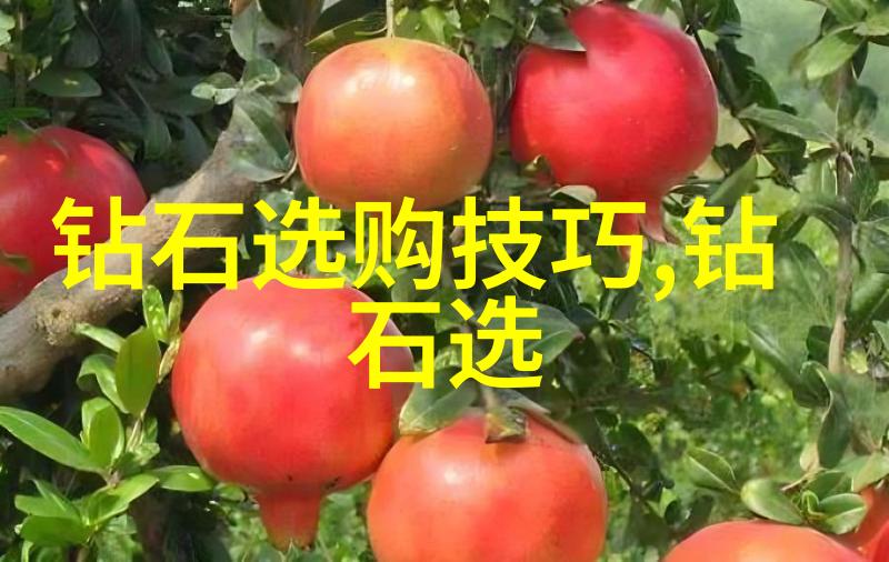 工程造价专业学什么我是如何掌握工程造价的技巧