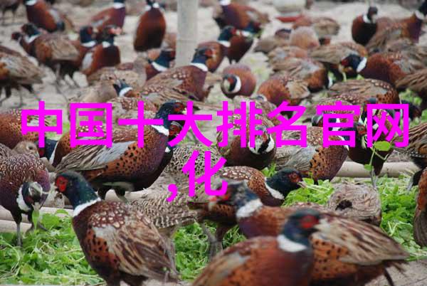 全球钻石产量领导者探索非洲之冠的矿业与经济影响