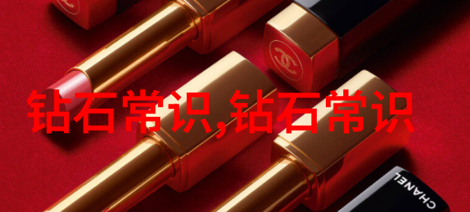 跨学科探索双学位的未来之谜