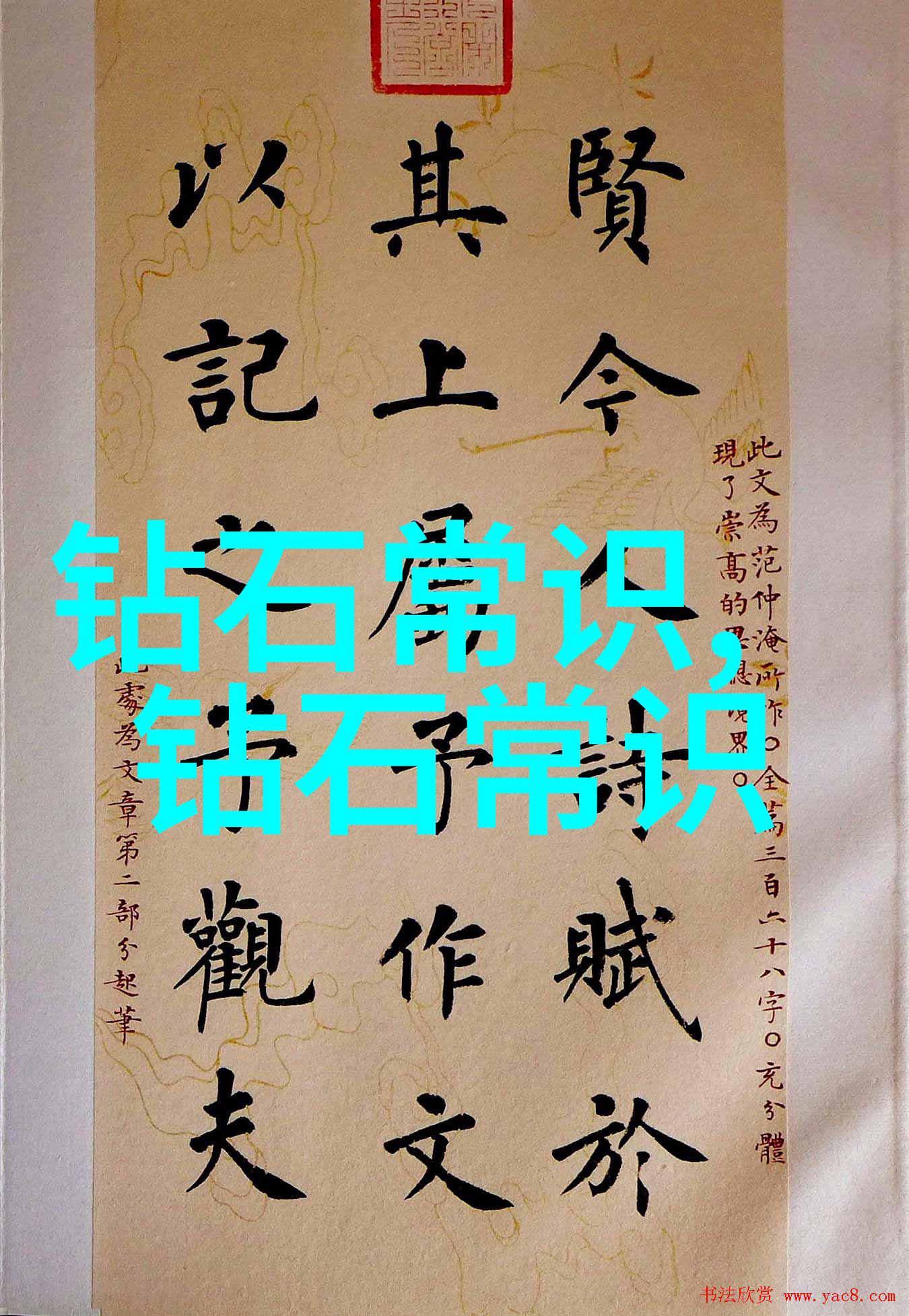 璀璨夺目珠宝的魅力与意义