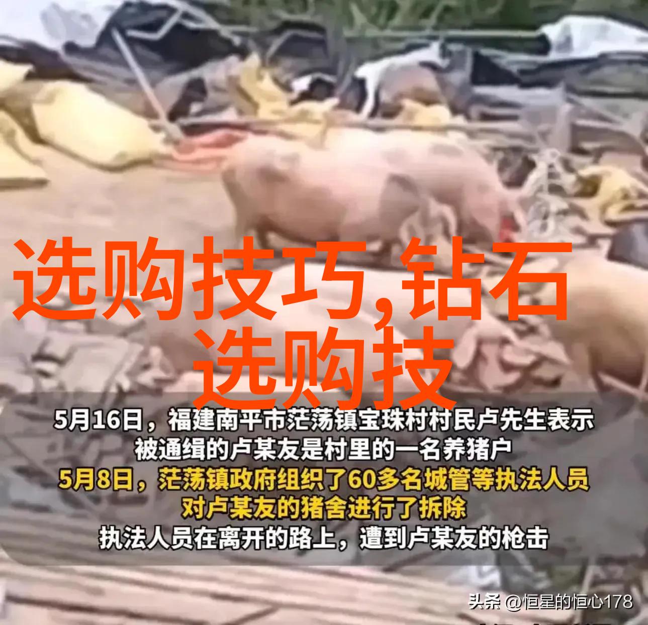 深入浅出讲解礼仪之邦我们的行为举止是否真的符合这个理想状态
