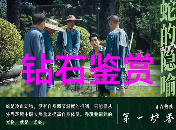 司法鉴定中心收费标准-权威解析司法鉴定费用体系与公平正义的维护