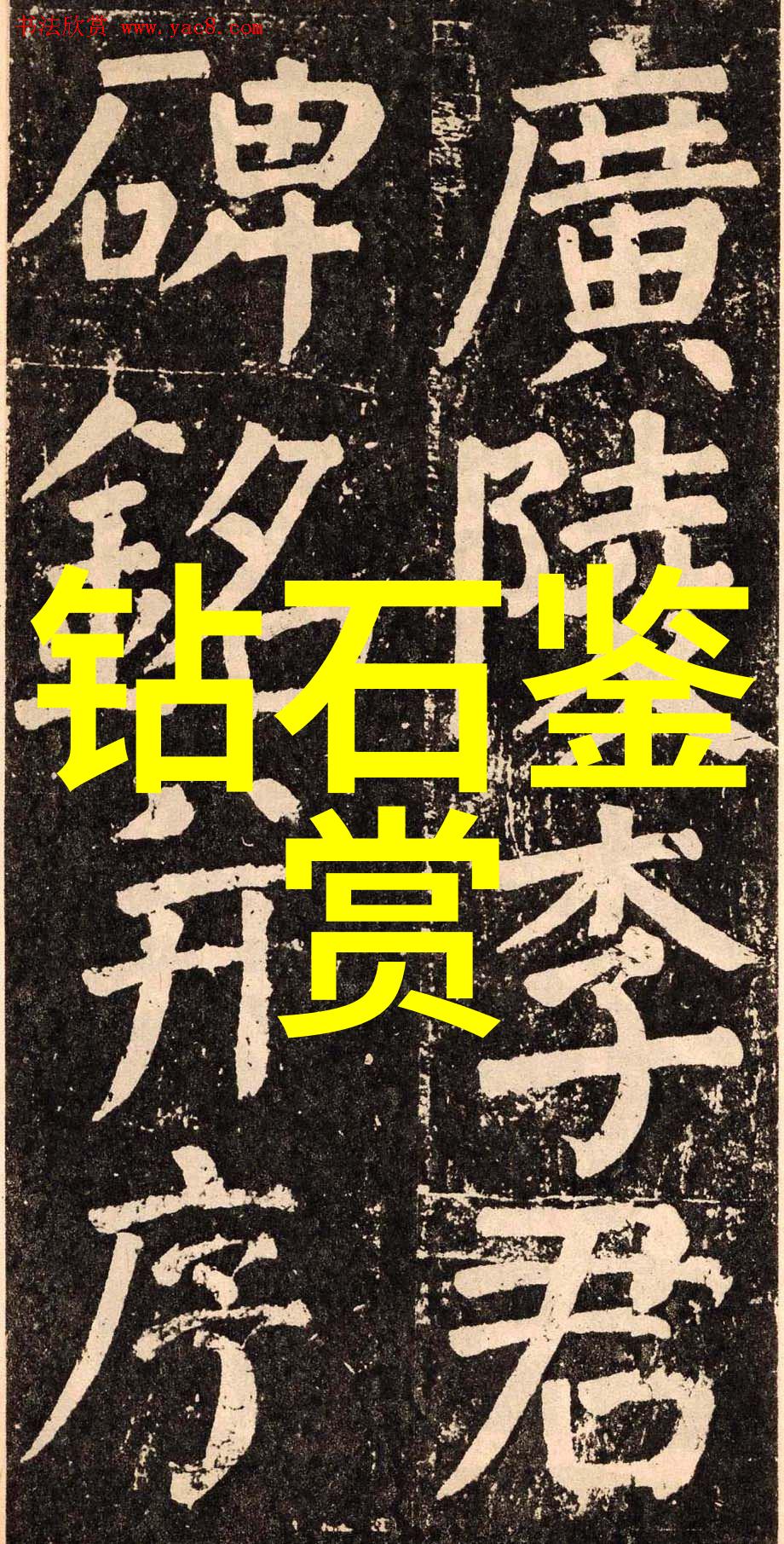 璀璨宝石精准鉴定珠宝鉴定平台的光芒与细致