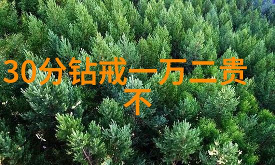 如果想要评估家族遗留下来的老旧珍贵收藏品该去哪个机构进行专业鉴定和保管