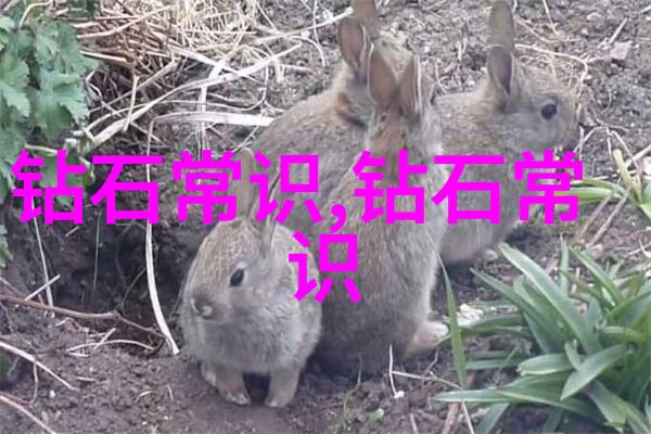 珠宝之美秀场中的经典珠宝设计