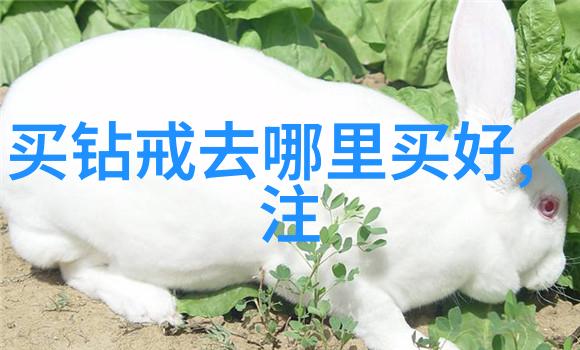 广州饰品压模深度培训课程精通工艺技术创意无限
