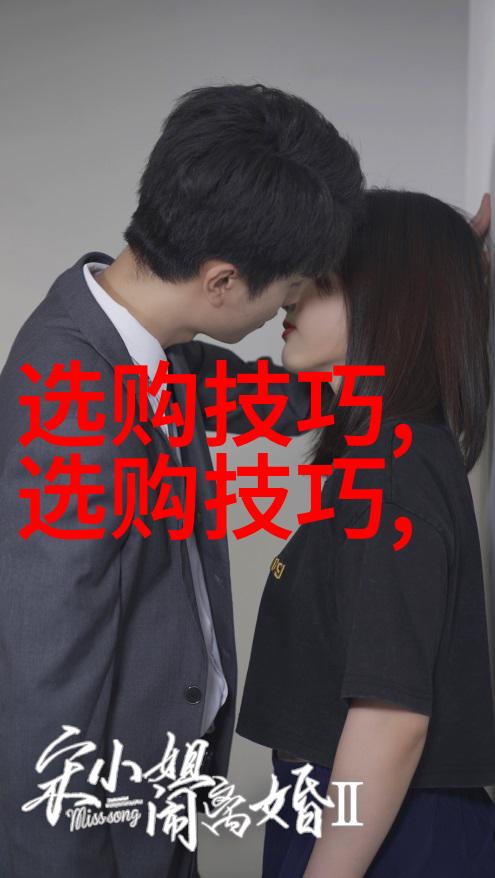 交通运输系统设计保障城市流动性的关键角色