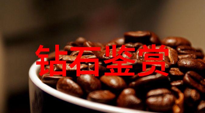 狼的智谋与小红帽的勇气童话背后的哲理探究