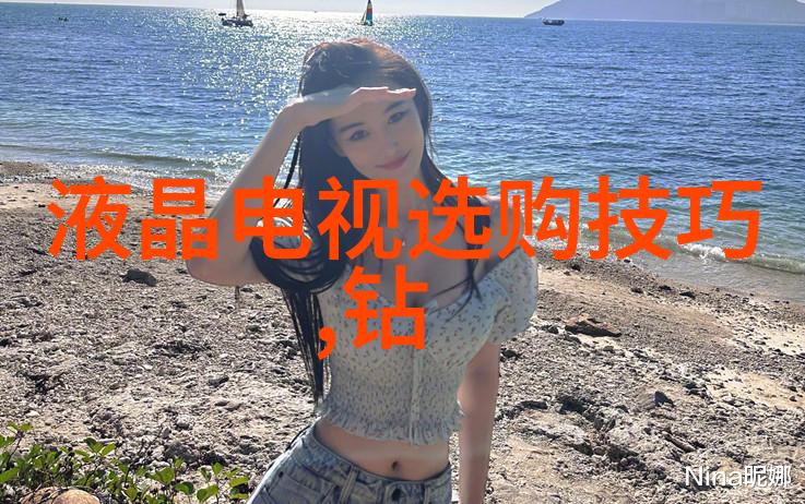 清穿之皇贵妃晋升记穿越千年重生宫廷