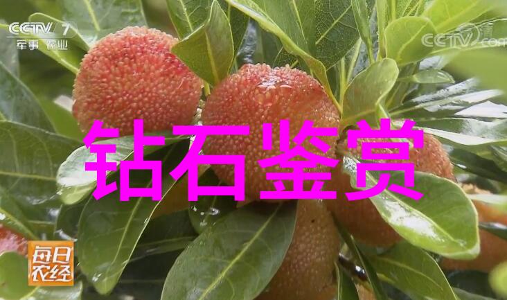 工艺问题是指什么探索生产过程中的迷雾