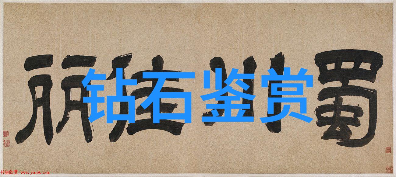 审计学概述理解审计的基础与发展