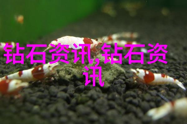 品鉴和鉴赏咖啡香浓的艺术探索