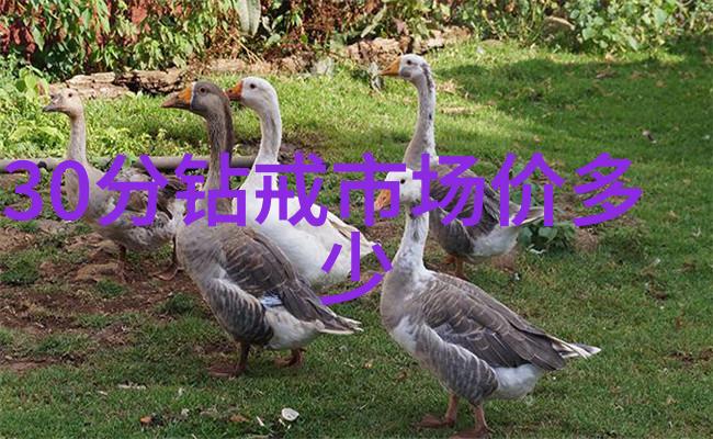 穿越秦时明月之浴火凤凰重生在历史的裂缝中