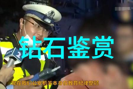 好的专业-深度解析如何构建和维护一个卓越的专业体系