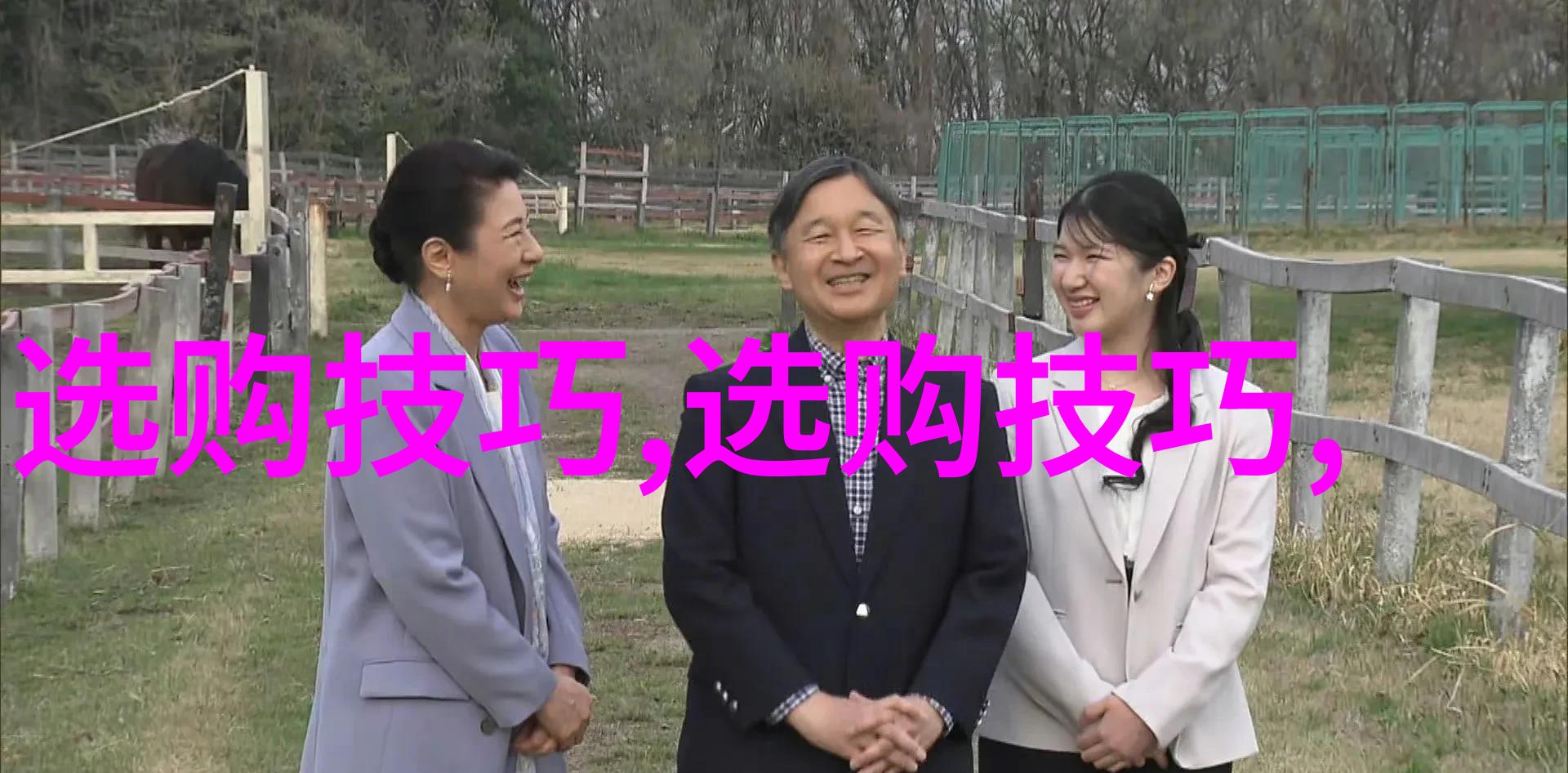 儒道至圣中华文化的根基与智慧之源