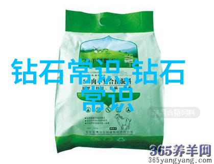 面向未来的多元文化融合中西方价值观的新趋势
