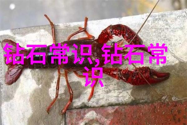 工艺问题是指什么-精准定位揭秘工艺难题的根源与解决方案
