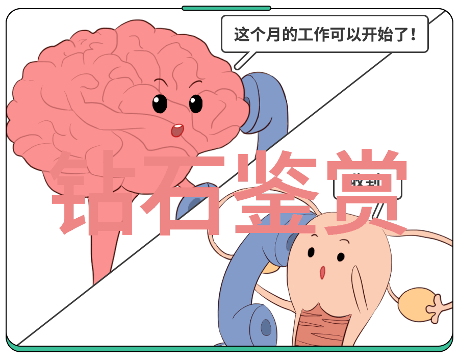 向太珠宝展闪耀的艺术与光彩纷呈
