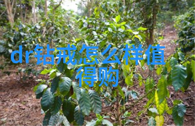 世界上有多少种珠宝-璀璨星辉探索无尽的珠宝多样性