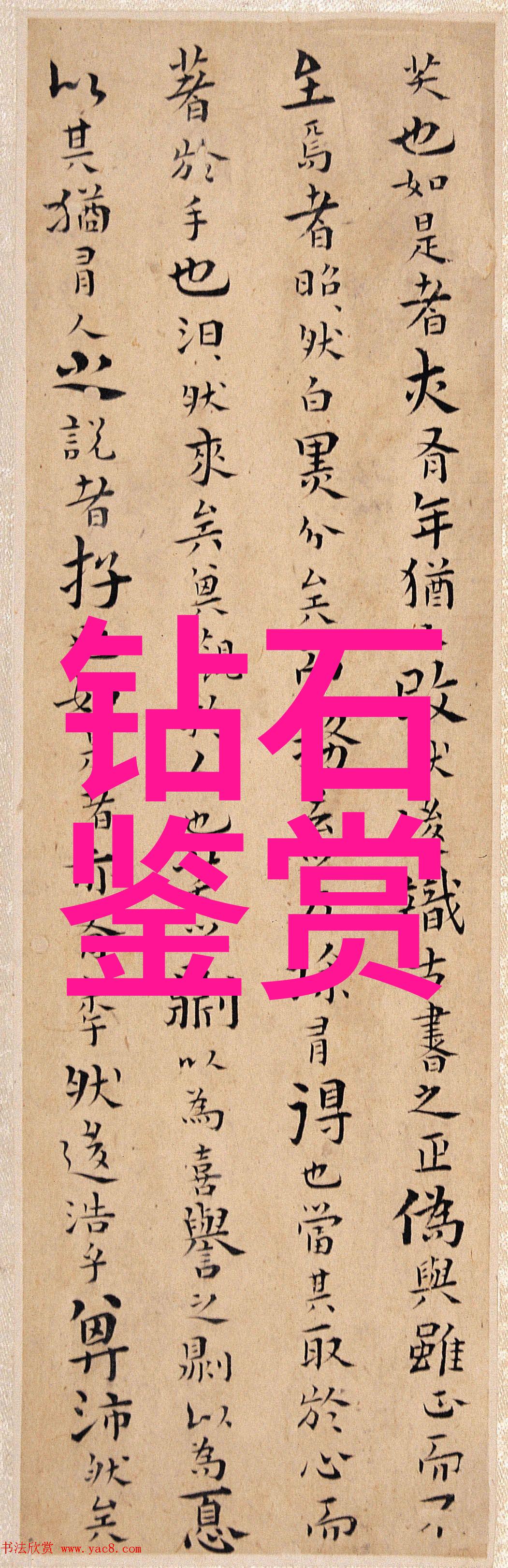 文化局背后的古韵与现代喧嚣