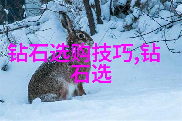 冰种翡翠原石鉴定-翡翠宝石的冷冻秘密如何识别冰种翡翠的价值与品质