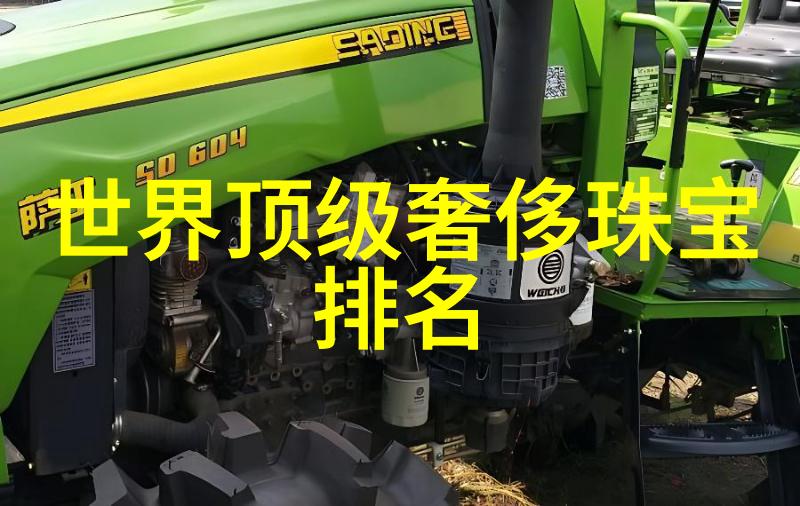 璀璨世界第三大钻石的秘密与传奇