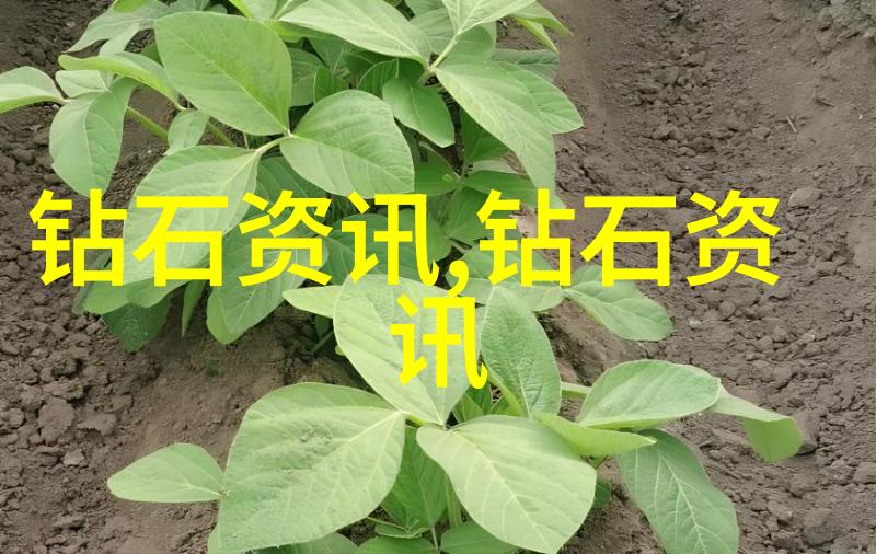 宝石的价值是如何评估的