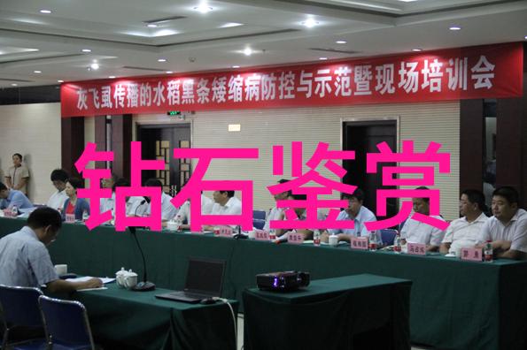 在国内学珠宝设计的最佳大学有哪些