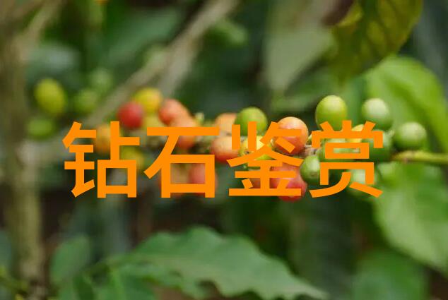 未来设计家园我对工艺美术学院的深刻印象