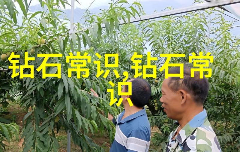 追求卓越构建与维护一个好的专业体系