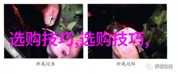 璀璨守护玉石的永恒保养