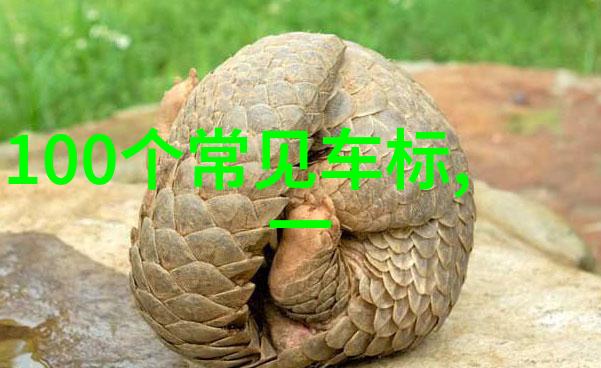 水晶文化翠光之梦