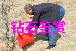 海柳沙滩上的孤傲与风中舞动的诗