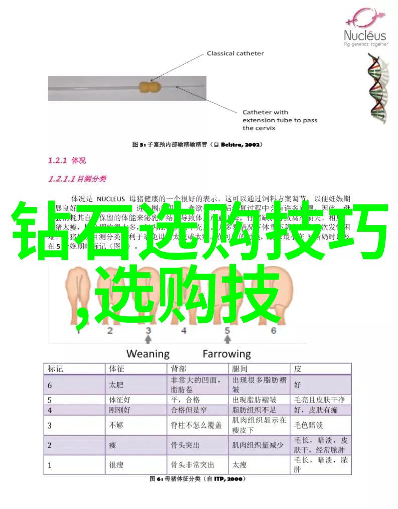 了解不同类型的绿松岩与翡翠中国各地的独特美学风味探究