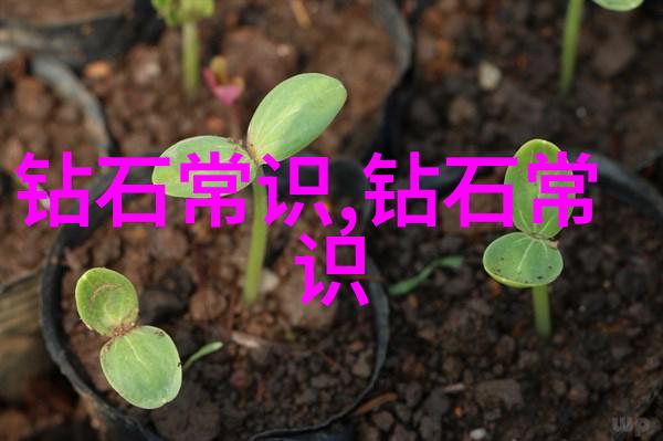 婚纱定制完美之选