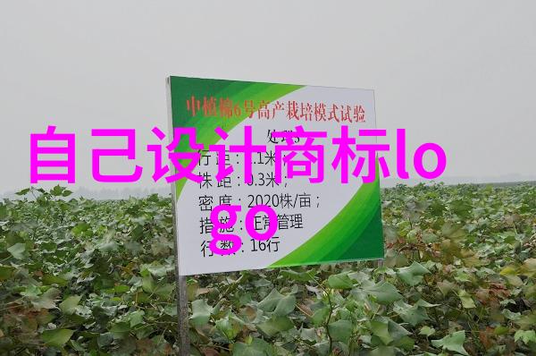 武术精神与身体锻炼为何成为世界各地人喜爱的运动方式