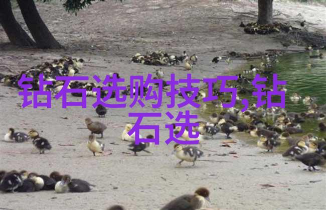 身心共鸣总裁的内心世界