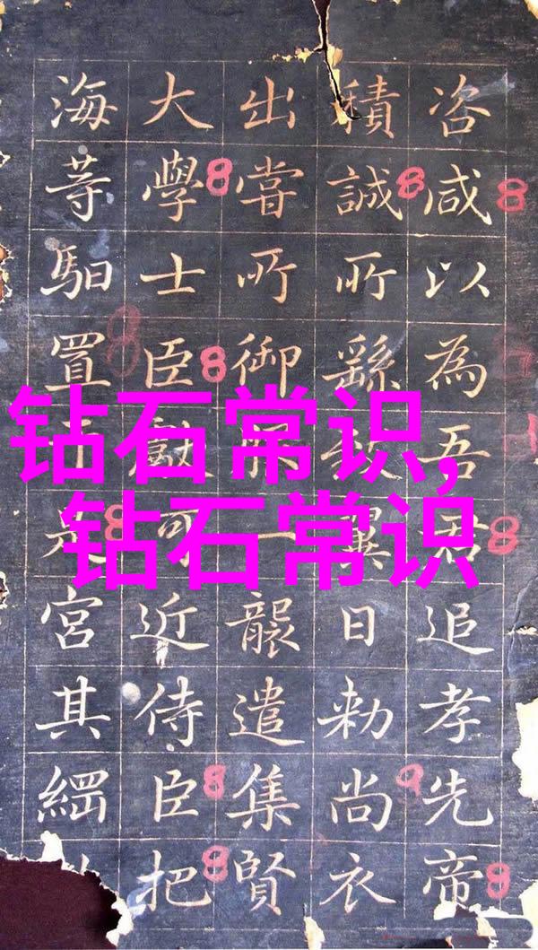 标准化流程与个性化服务的和谐共存构建高效专业体系