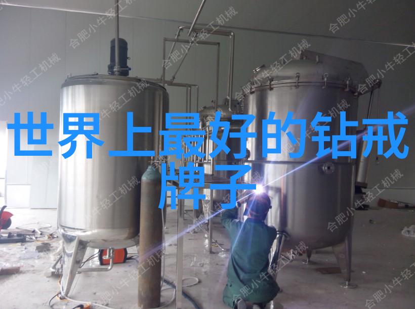 工程管理专业规划组织与监督的艺术与科学