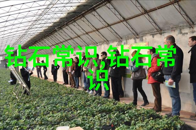 璀璨与寂静宝玉石鉴赏的双重奏鸣