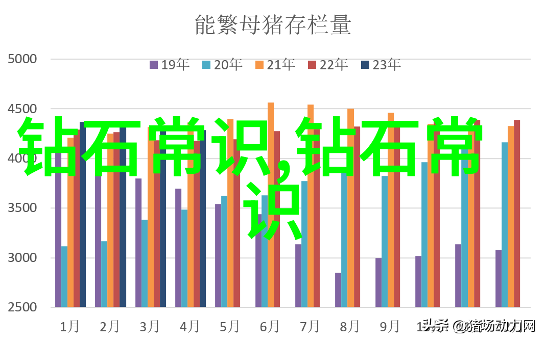 中华文化的丰富魅力传统艺术与现代生活的融合