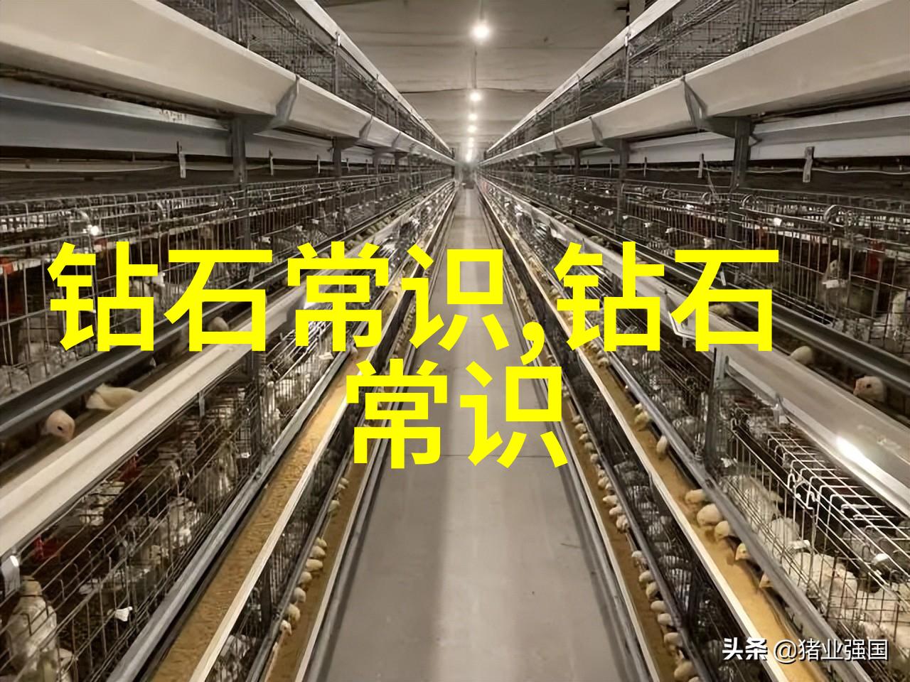 银辉闪烁的宝藏之地探秘古色银楼的传奇故事