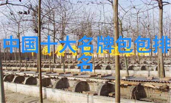 工艺工程师证书的征途一场知识与实践的交锋