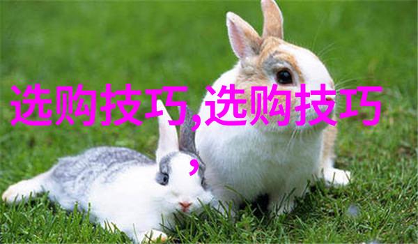 文化守护者民间工艺人如何保护其珍贵技能