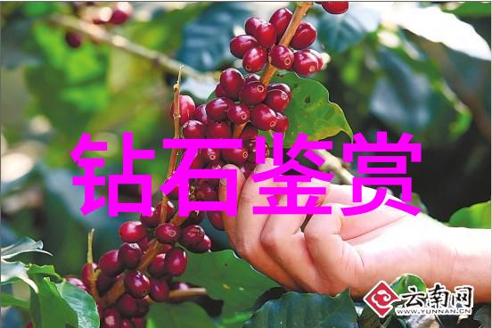 国精产品自线六区探索中国制造的新纪元